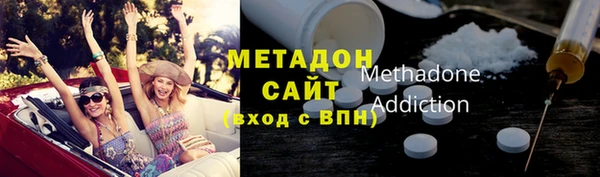 прущие грибы Щучье