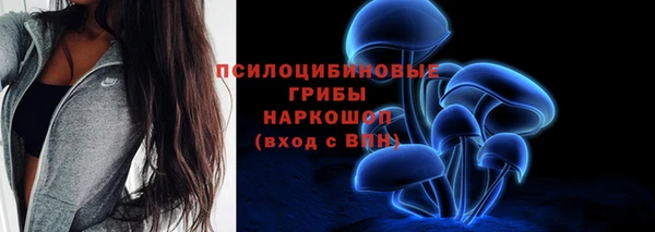 стафф Козловка