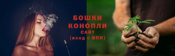 прущие грибы Щучье