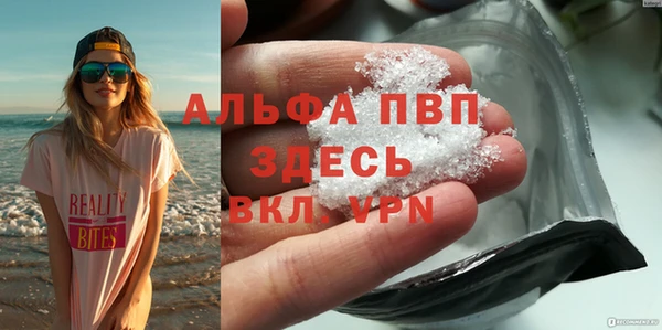 прущие грибы Щучье