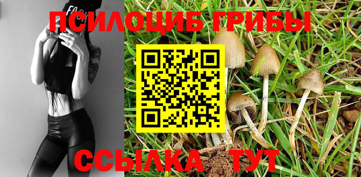 Псилоцибиновые грибы GOLDEN TEACHER  Псилоцибиновые грибы Cubensis  Вход с VPN  Янаул 